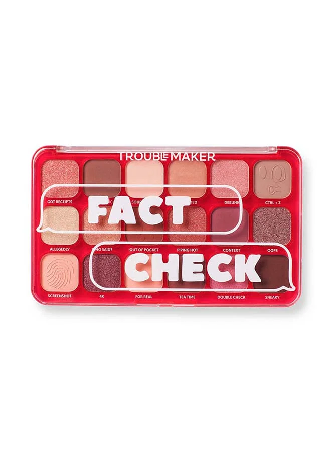 صانع المتاعب Big Trouble Shadow Palette Fact Check
